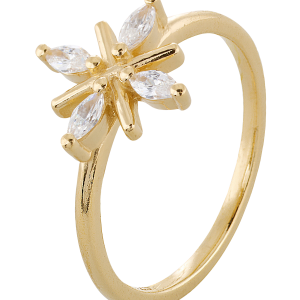 Ring Snowflake v:9258633 Ring Snowflake v:9258633