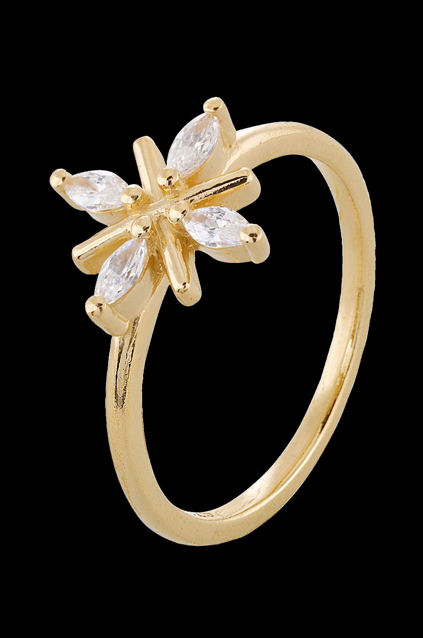 Ring Snowflake v:9258633