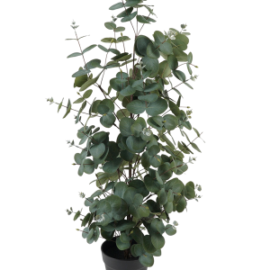 Kunstig plante Eucalyptus Leaf Large v:7914884