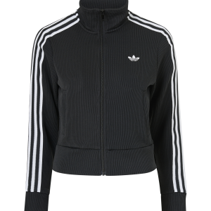 Collegegenser Firebird TT v:3881781