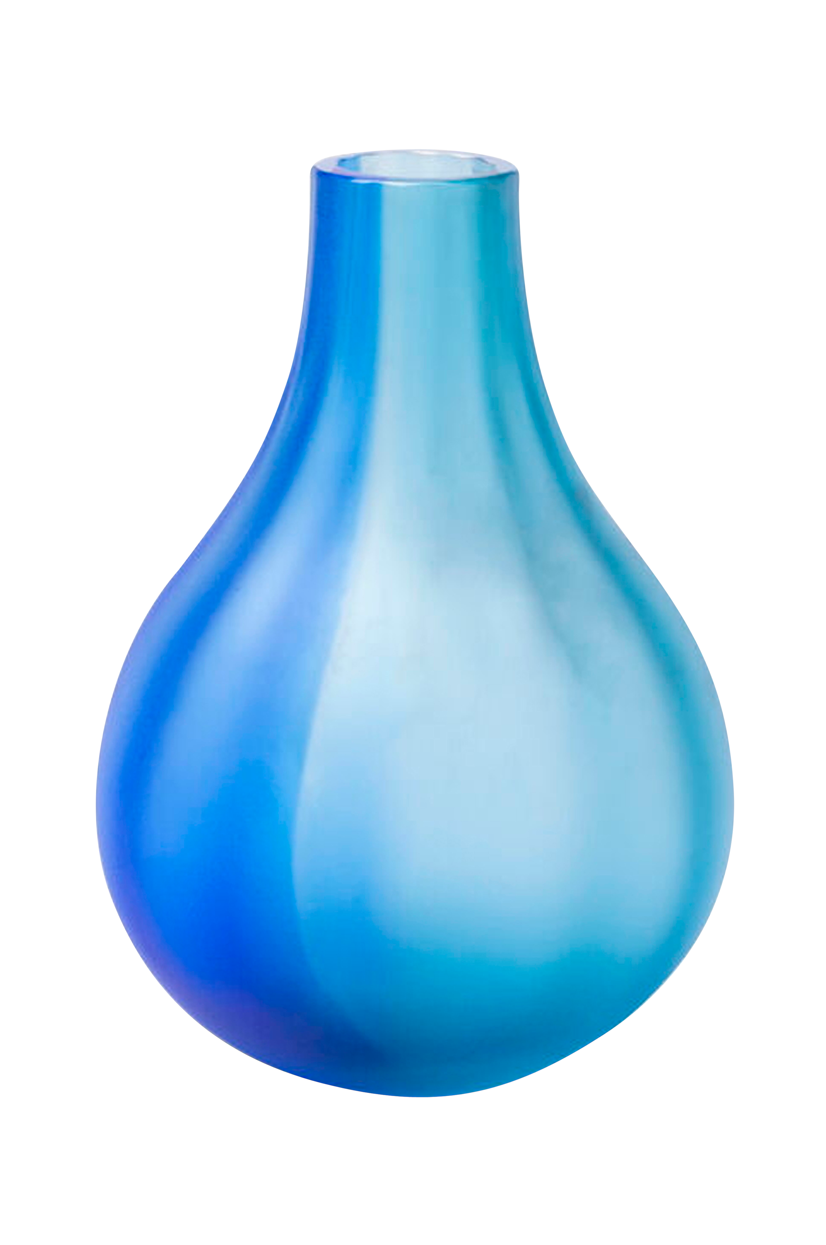 Vase Iris v:8393572