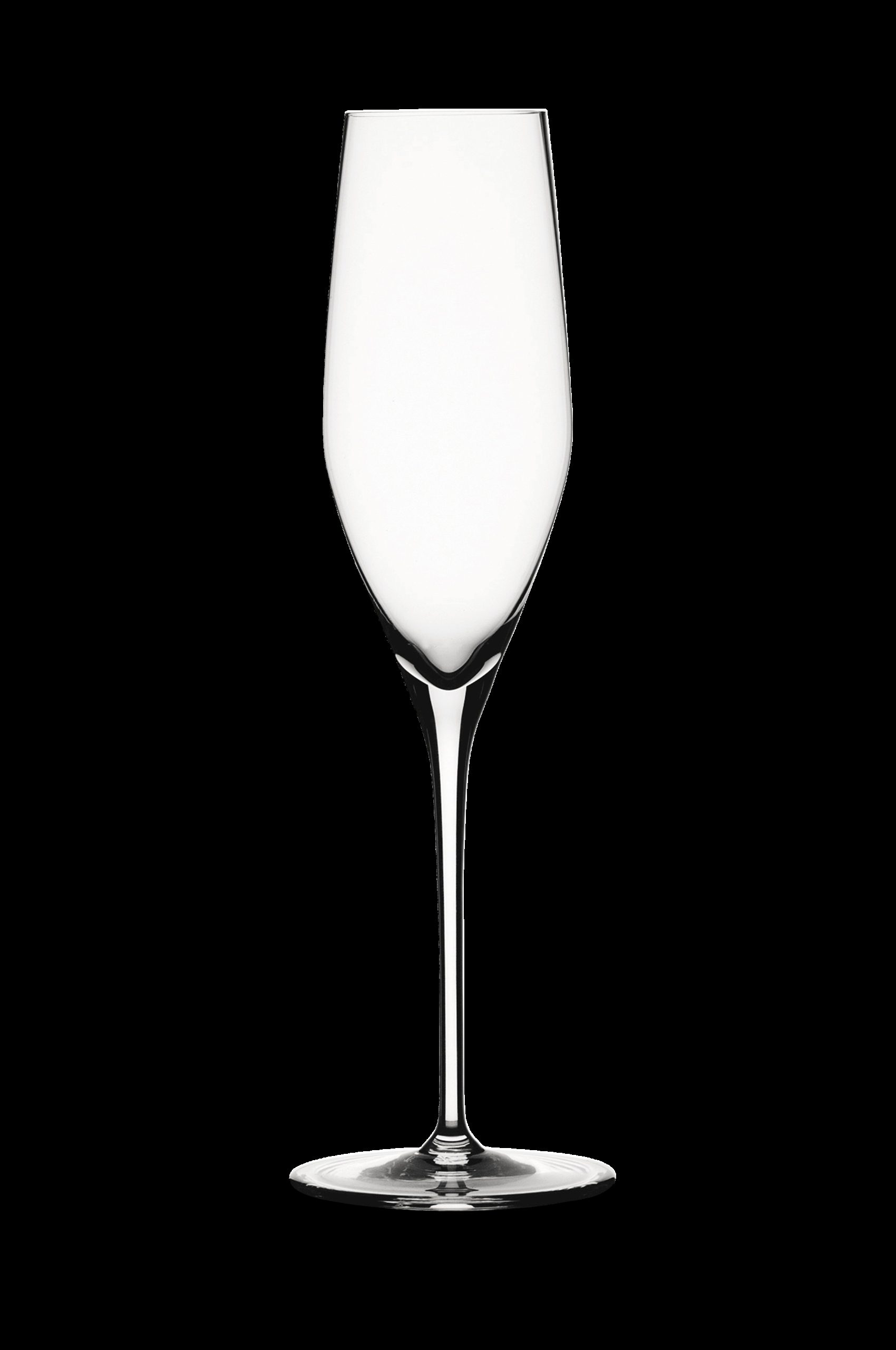 Champagneglass Authentis 19 cl, 4 v:9753099