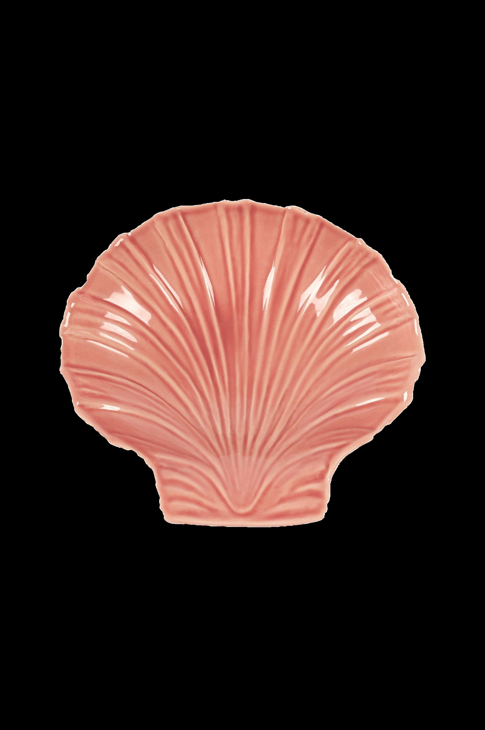 Bolle Marine 20x18cm v:1988829
