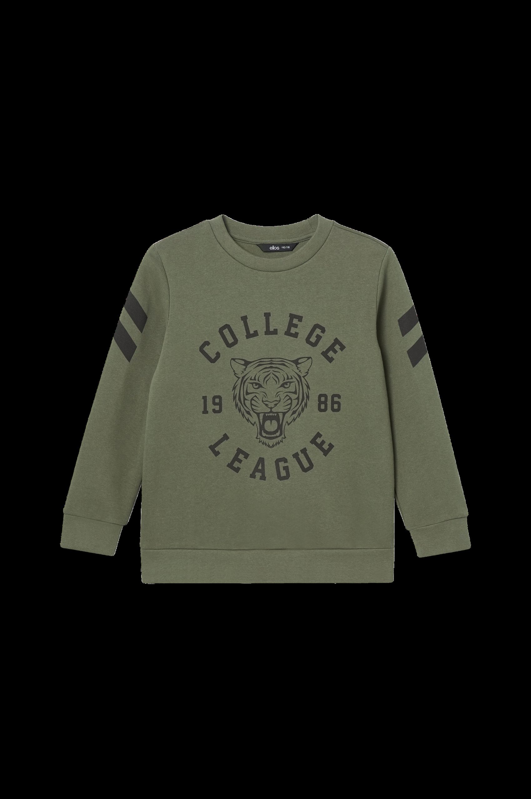 Collegegenser Aidan v:8124086