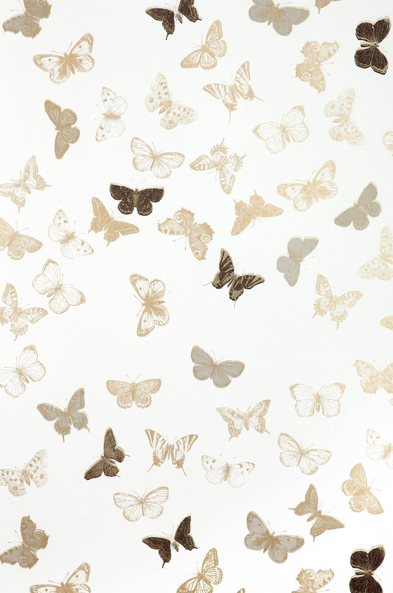 Tapet Butterfly v:4235133