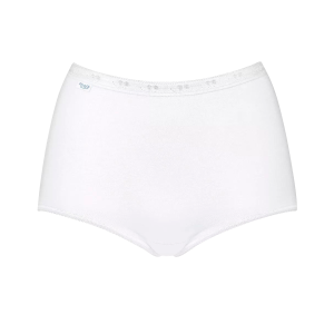 Basic+ Maxi v:2492984 Basic+ Maxi v:2492984