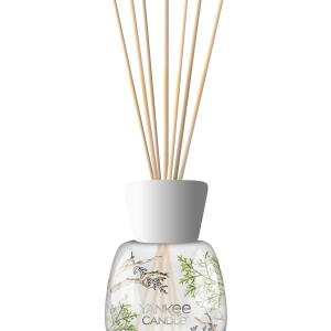 Reed Diffuser Bayside Cedar v:7294997