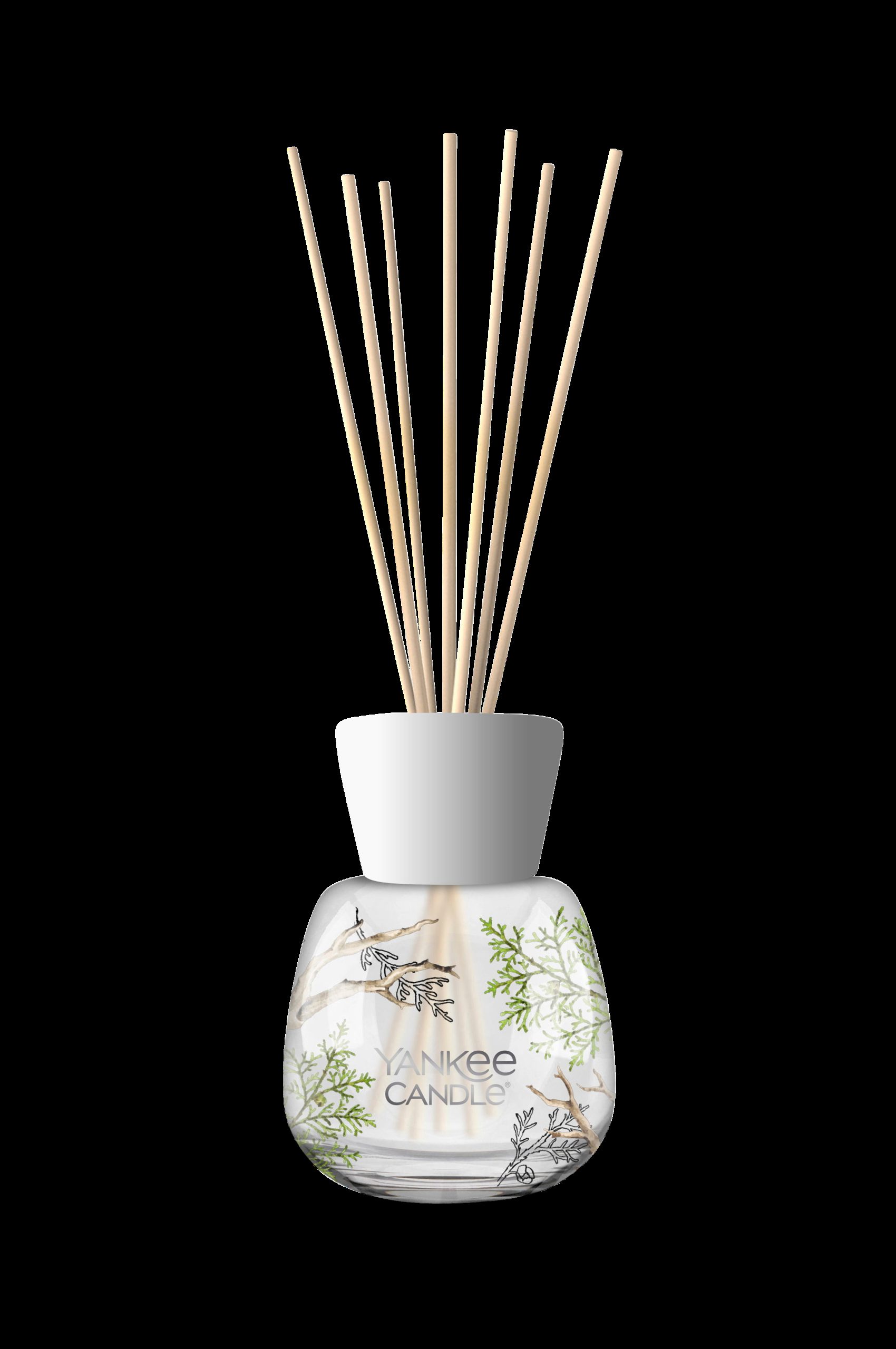 Reed Diffuser Bayside Cedar v:7294997