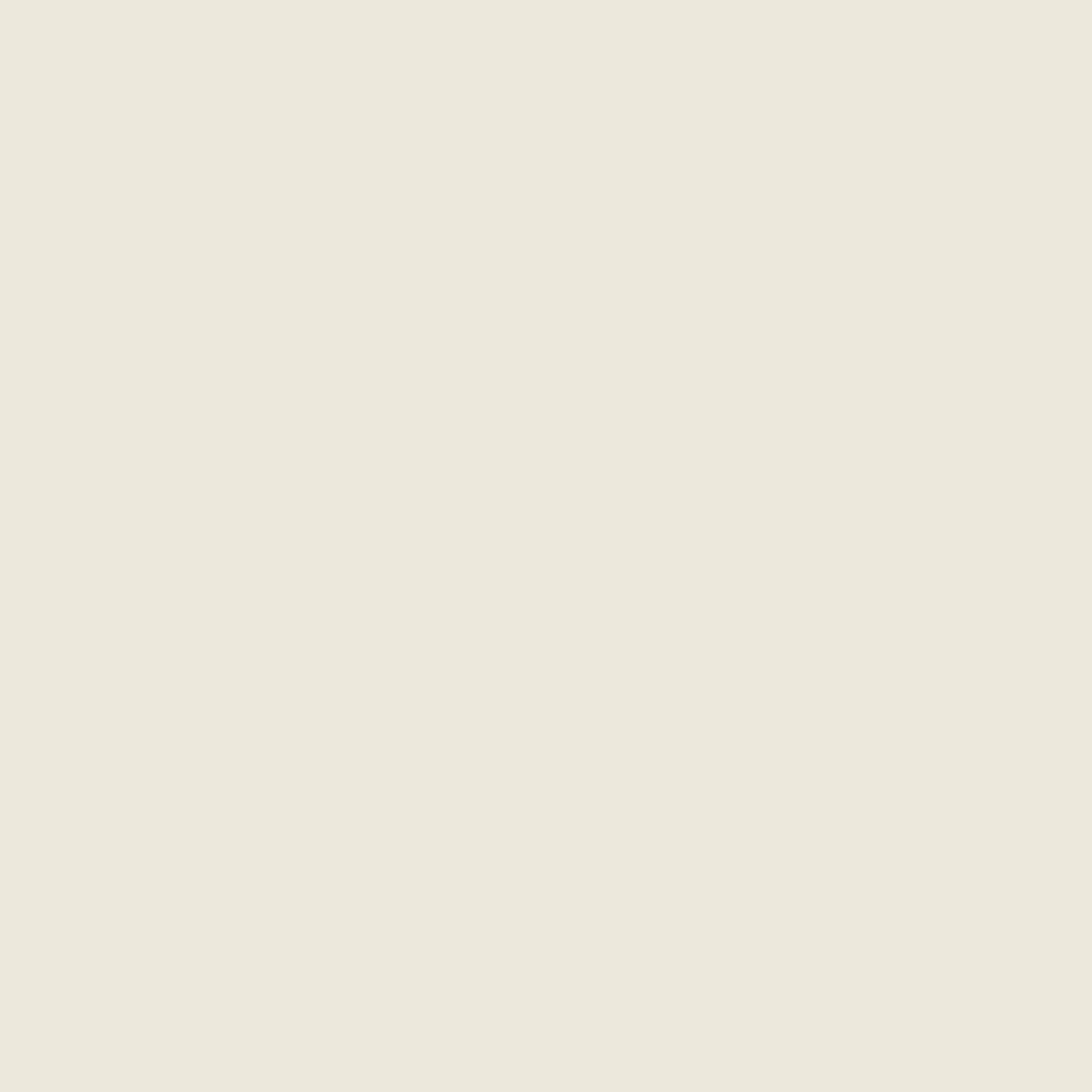 Tapet Pigment v:5361336