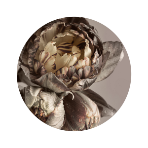 Bilde Baroque 4 v:583407